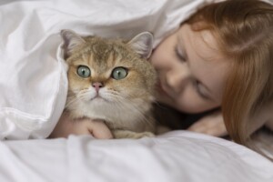 Dormir com gato faz mal à saúde? Descubra agora!