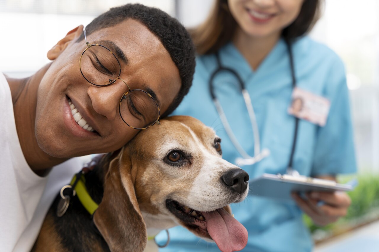 O que leva os responsáveis a buscar atendimento veterinário para cães?