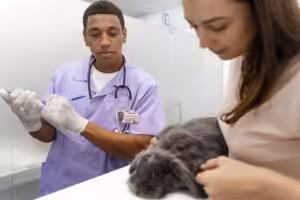 Será que a carreira de médico-veterinário é ideal para mim?