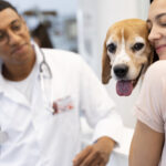 Entre o check-up e o colo: como as decisões da pessoa responsável moldam a curva de envelhecimento do pet