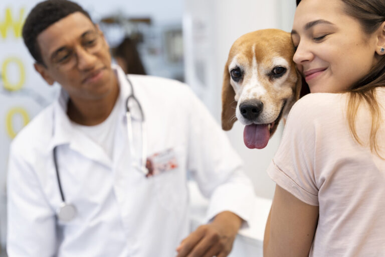 Entre o check-up e o colo: como as decisões da pessoa responsável moldam a curva de envelhecimento do pet