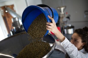 Salmonella em pet food: como ocorre a contaminação e quais cuidados ajudam a prevenir riscos