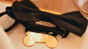 Cachorro de Charles Leclerc conquista fãs e vira mascote querido da Fórmula 1