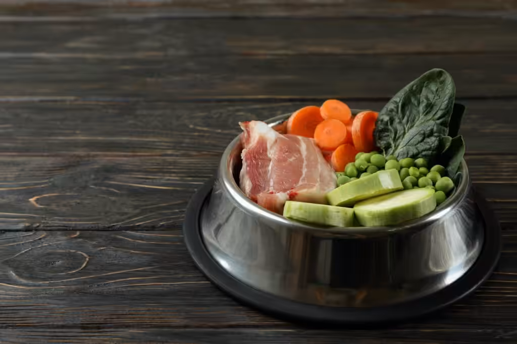 Concept of organic pet food on wooden background