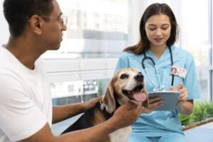 consulta veterinário