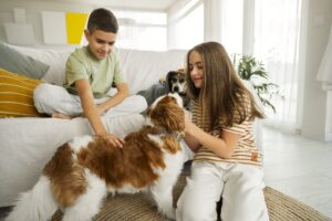 Guarda compartilhada de pets: entenda como funciona a nova lei