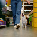 Consumidor mais ativo redefine o padrão de consumo no mercado pet