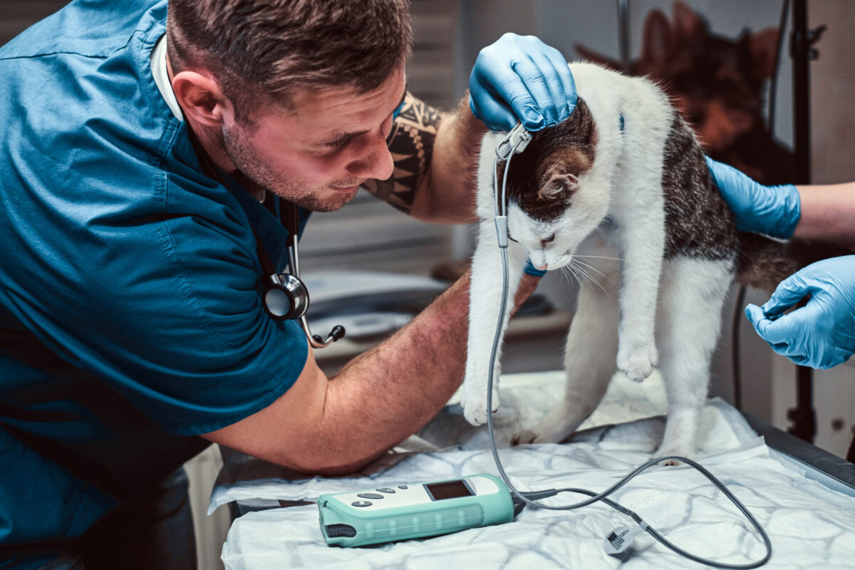ABCD do trauma: um guia para manejo do paciente em situação emergencial