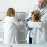 Autonomia, especialização e IA redesenham o consultório veterinário em 2026