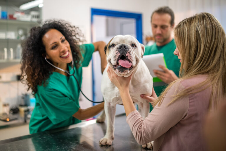 A prevenção no centro da nova Medicina Veterinária