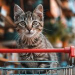 Mercado pet nos EUA atinge US$ 46 bilhões impulsionado pelo crescimento dos gatos