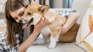 Cachorros podem sentir ciúmes? Entenda o que está por trás do comportamento