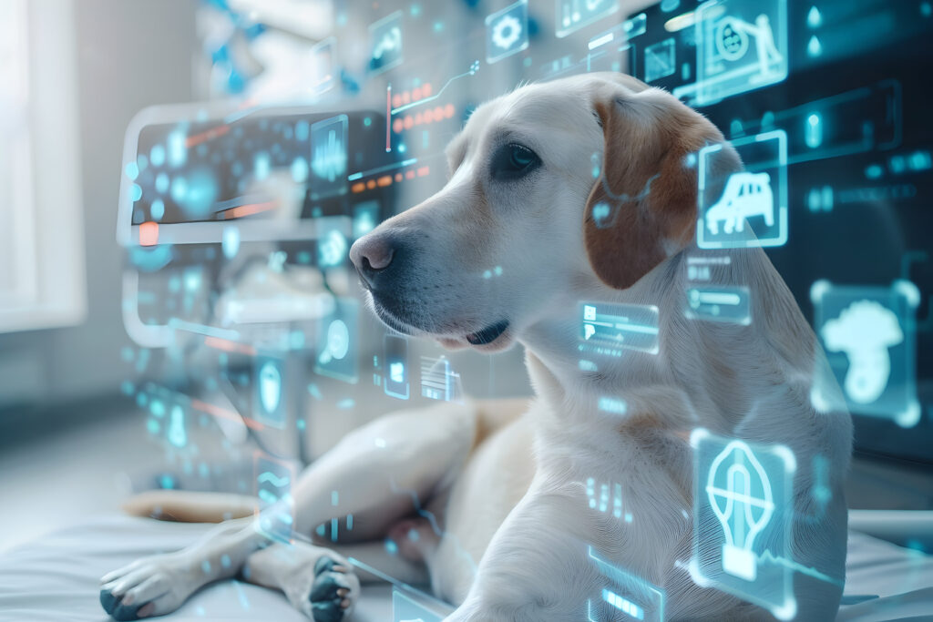 Como a IA pode transformar a Medicina Veterinária? Pesquisa brasileira leva discussão essencial à ONU