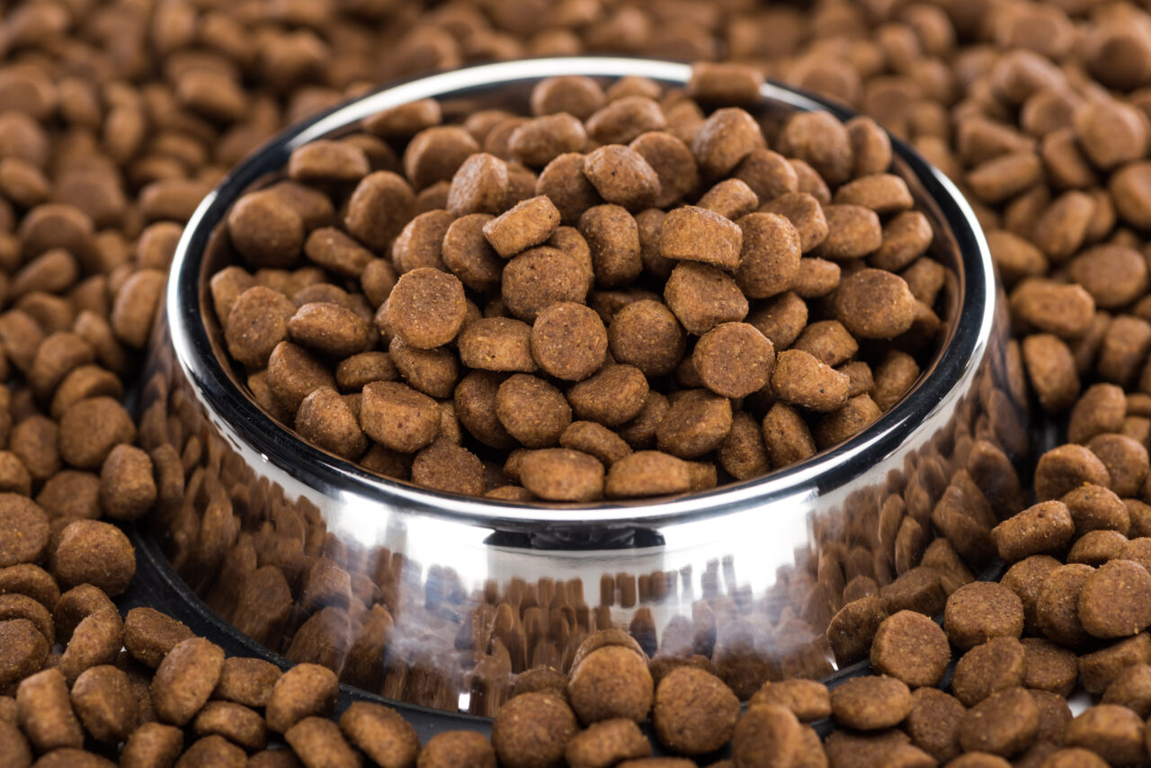 Taurina: indispensável no pet food