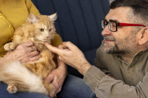 Cães e gatos interpretam 