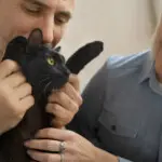 Crescimento da população felina impulsiona inovação no mercado pet