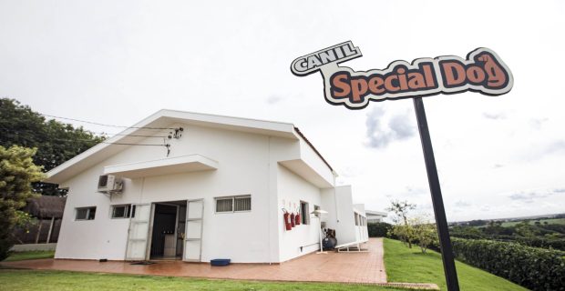 faturamento Special Dog