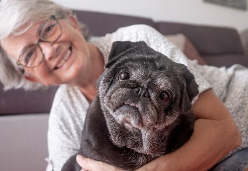 mulher de cabelos brancos abrançando um Pug de pelos pretos e bracos
