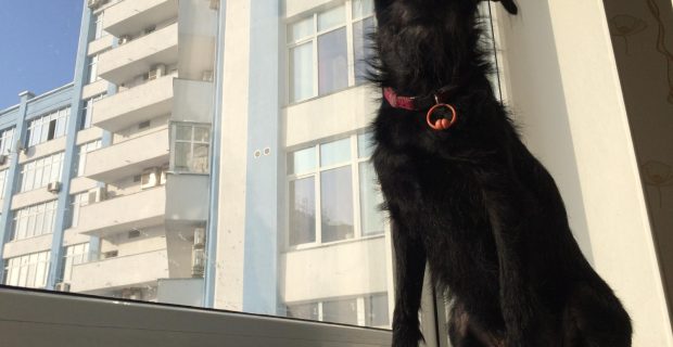 foto-apartamento