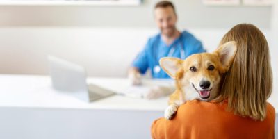 cachorro-na-clinica.jpg