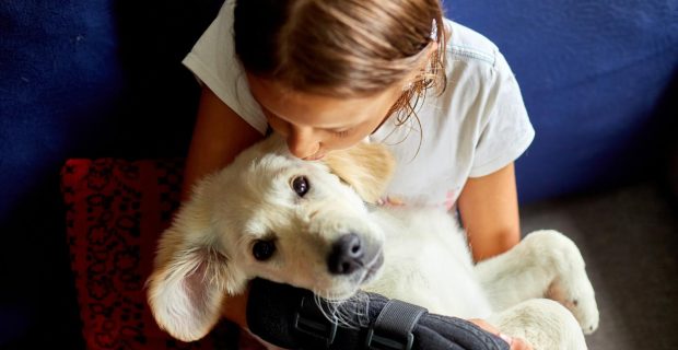 Visita de animais de estimação podem auxiliar na recuperação de pacientes internados