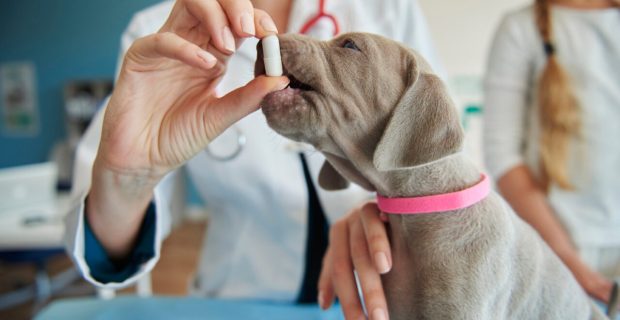 medicamento