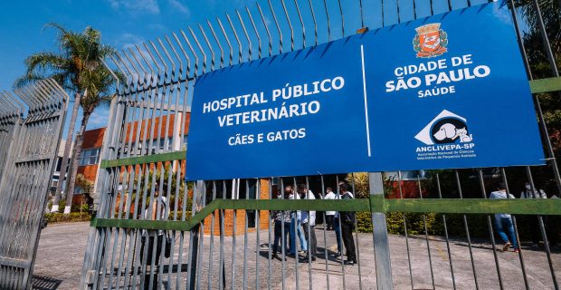 hospital veterinário público