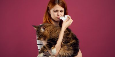 Bióloga explica mitos e verdades sobre alergia a gatos
