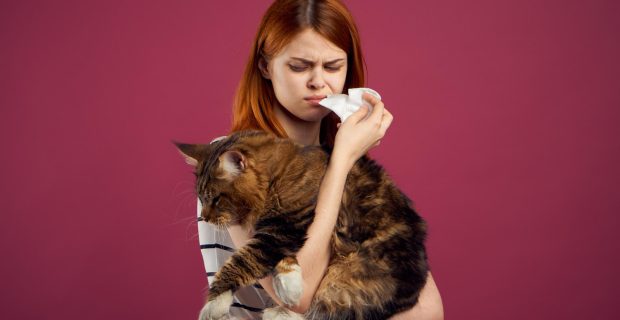 Bióloga explica mitos e verdades sobre alergia a gatos