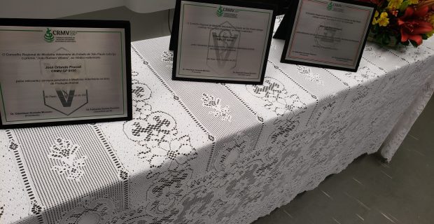 premio crmv