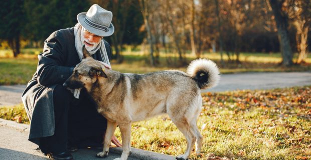 Herança para pets é um tema ainda incerto no Brasil