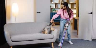Limpeza e desinfecção das residências com pet durante o verão é fundamental