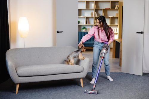 Limpeza e desinfecção das residências com pet durante o verão é fundamental