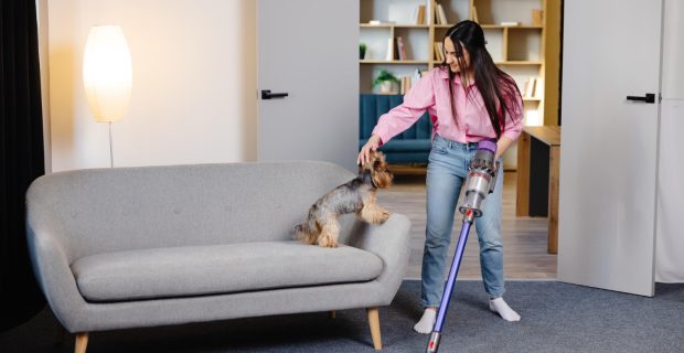 Limpeza e desinfecção das residências com pet durante o verão é fundamental