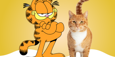 garfield