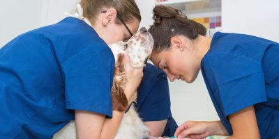 Faculdade de Medicina Veterinária Qualittas celebra o início da primeira turma de Graduação