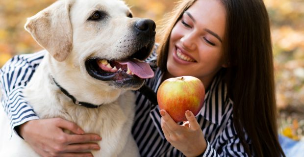 Veterinário indica frutas seguras para oferecer aos pets
