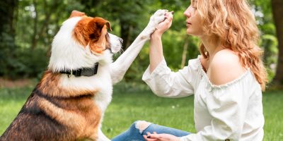 tutora com cão em gramado
