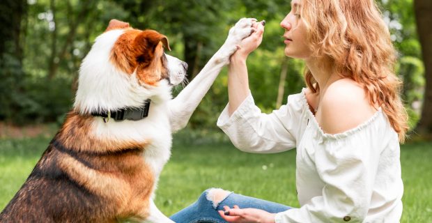 tutora com cão em gramado