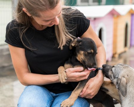 Minas Shopping promove adoção de pets em fevereiro