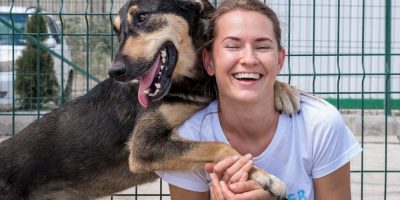 Cães e gatos percebem emoções humanas e adaptam suas reações