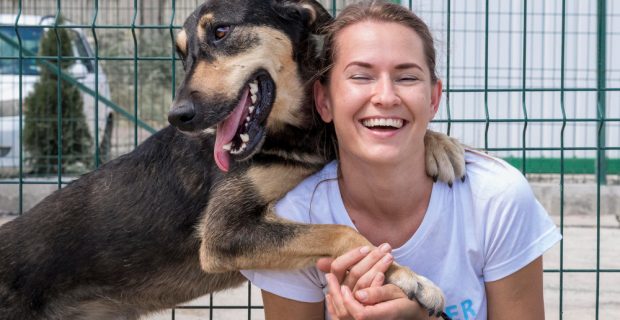 Cães e gatos percebem emoções humanas e adaptam suas reações