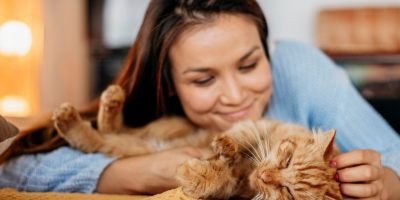 Com alguns treinos e paciência, é possível estabelecer fortes vínculos com seu gato 