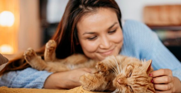 Com alguns treinos e paciência, é possível estabelecer fortes vínculos com seu gato 