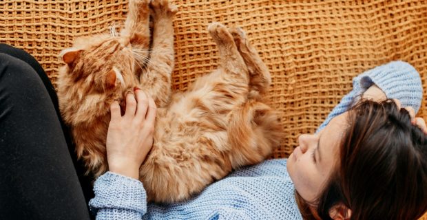 Agitação noturna do seu gato pode ser sinal de tédio ou ansiedade