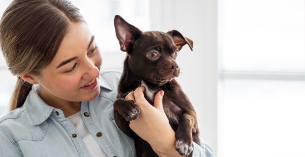 cachorro e mulher