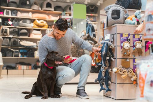 Homem ao lado de cachorro labrador em uma loja de produtos para cães