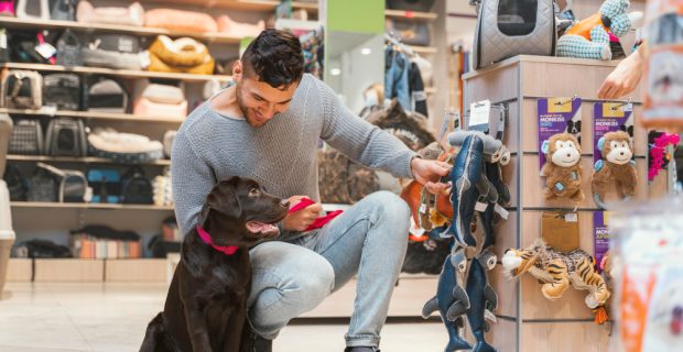 Homem ao lado de cachorro labrador em uma loja de produtos para cães
