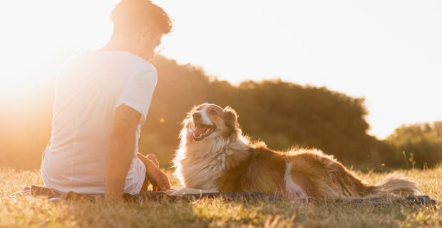 Pesquisa revela conexão cardíaca entre cão e tutor