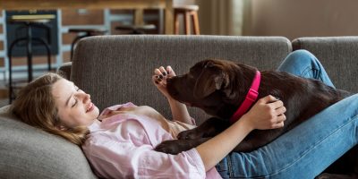 Comportamentos de cães adquiridos durante a Covid-19 afetam relação com tutores